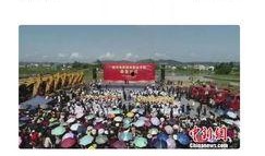 四川学校爆料视频,揭秘校园内幕