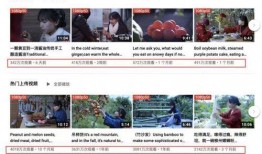 爆料丽水数字网红事件视频,揭秘网络红人背后的真相与争议