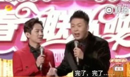 何炅爆料海涛视频,揭秘背后故事与感人瞬间