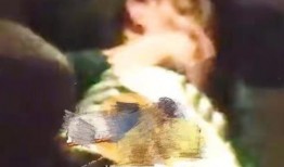 美女爆料工作室视频大全,揭秘娱乐圈幕后故事