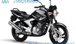 摩托车街车爆料视频大全,精彩瞬间尽收眼底