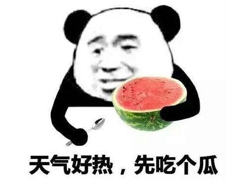 娱乐吃瓜表情包,笑料百出！
